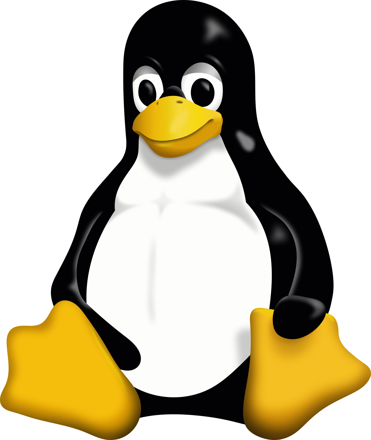 linux ( server)