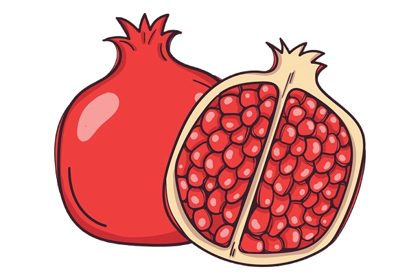 anar 2