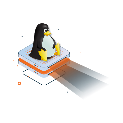 why linix sabinserver