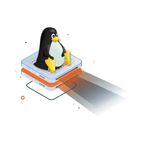 why linix sabinserver
