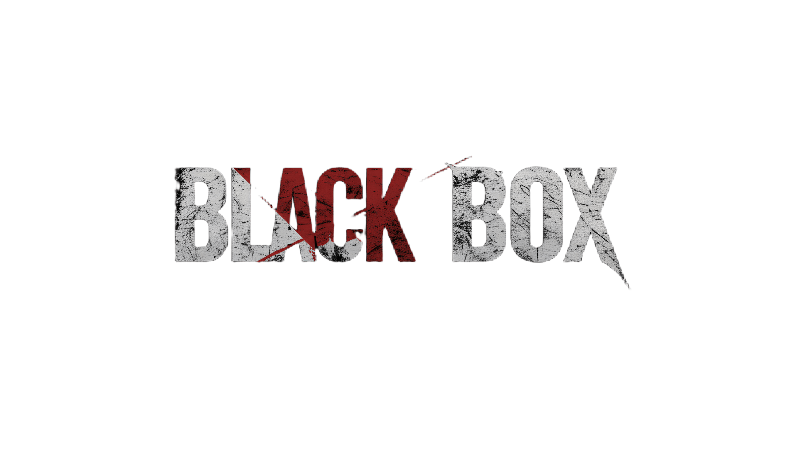 blac box scaled